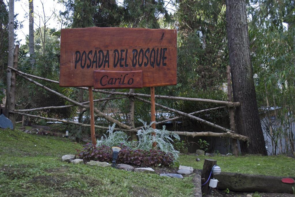 Posada Del Bosque By Hs 까릴로 외부 사진