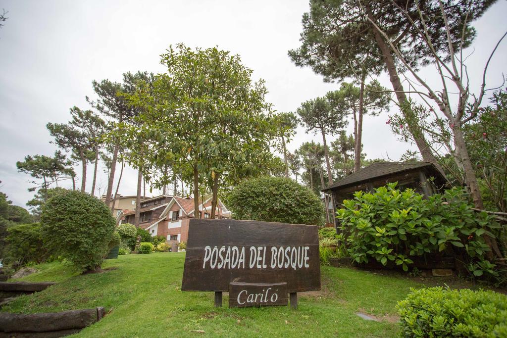 Posada Del Bosque By Hs 까릴로 외부 사진